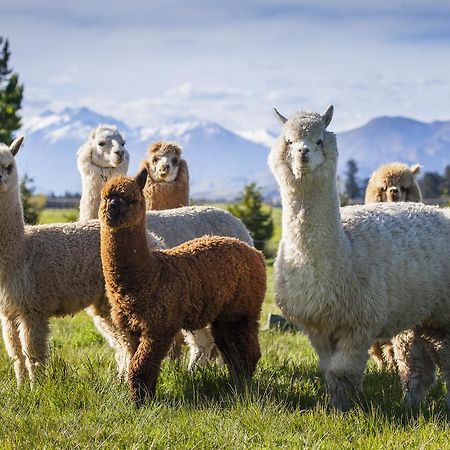 Criffel Station Farmstays Luggate Екстериор снимка